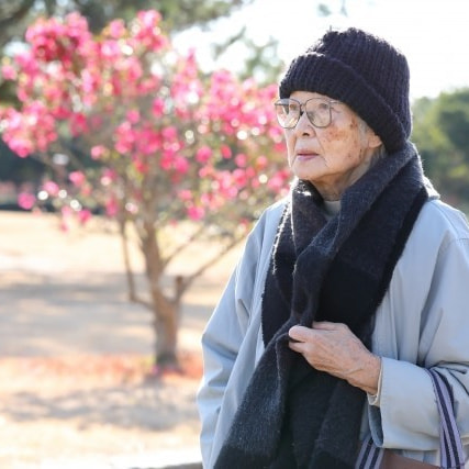 おばあちゃんの写真